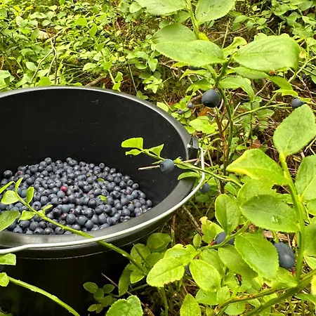 Czarna * Czarny Mlyn