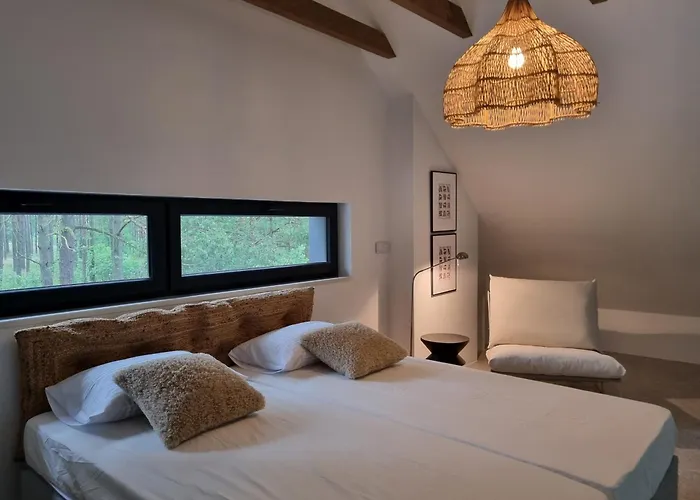 Willa Czarna Czarny Mlyn