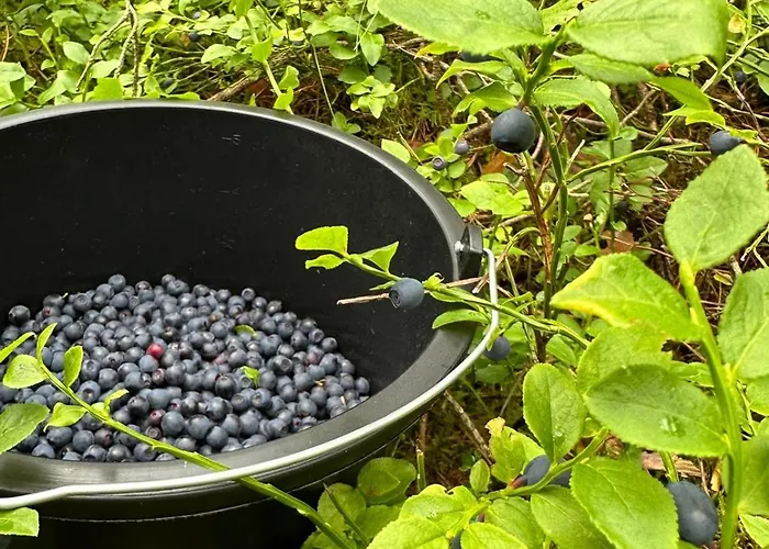 Czarna * Czarny Mlyn