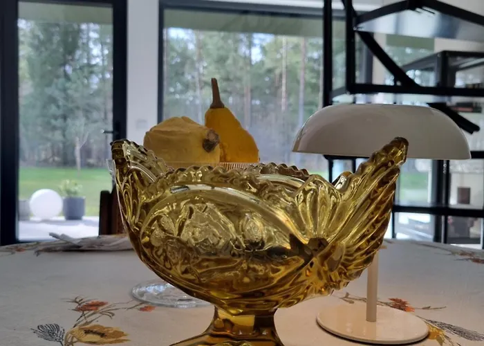 Willa Czarna Czarny Mlyn